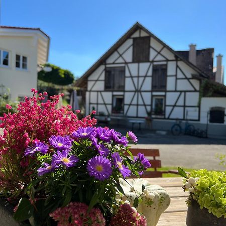 Cafe Canape, Wohlfuehlen Im Schoenen Hof Zwischen Ravensburg & Bodensee 외부 사진